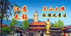 艹b污污视频在线观看江苏无锡灵山大佛旅游风景区